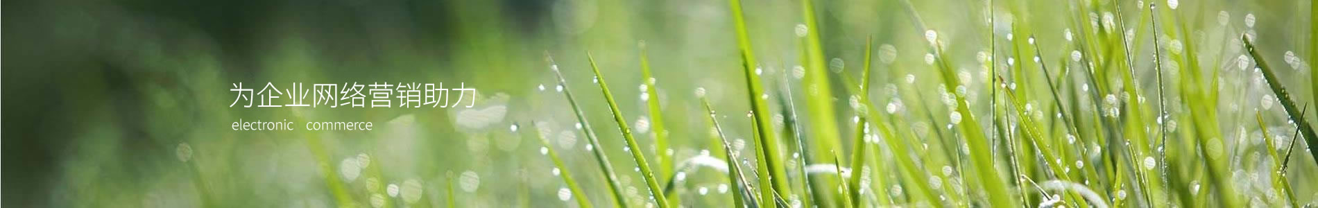 ֮ĺӱ²ϿƼ޹˾